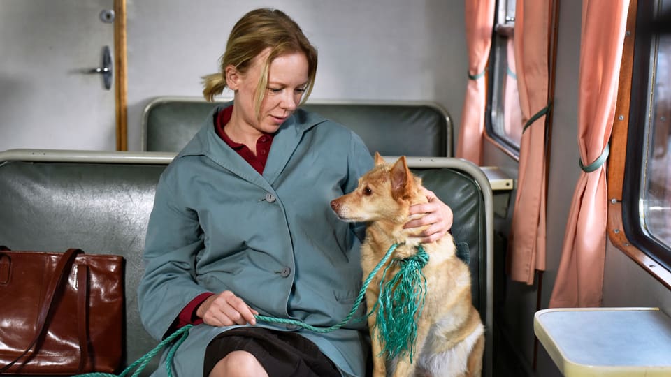 Frau mit blonden Haaren sitzt in einem Zug, sie hat ihren Hund dabei und er sitzt neben ihr