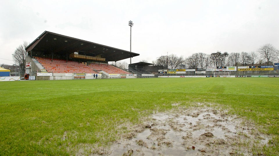 Rasen und Tribüne des Stadion Brügglifeld.