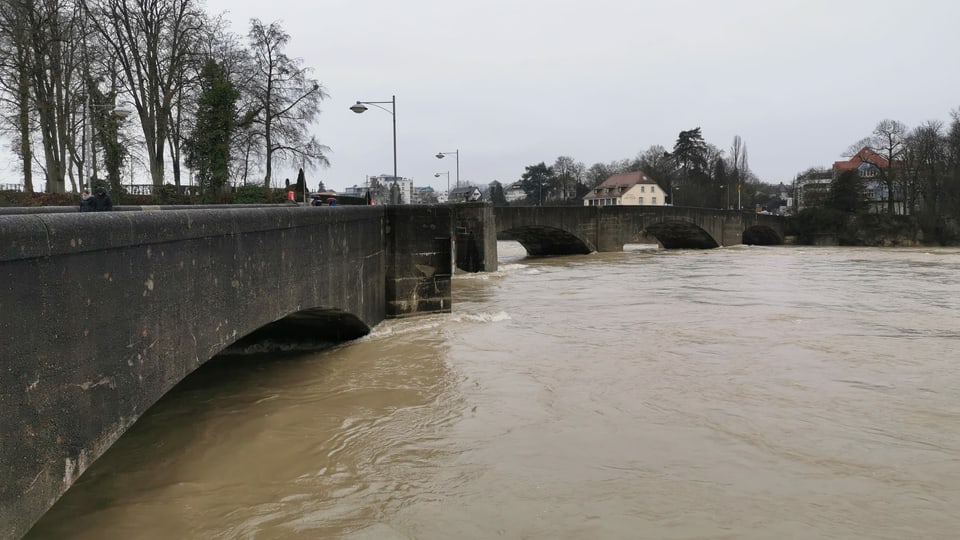 Der Rhein hatte Ende Januar Hochwasser