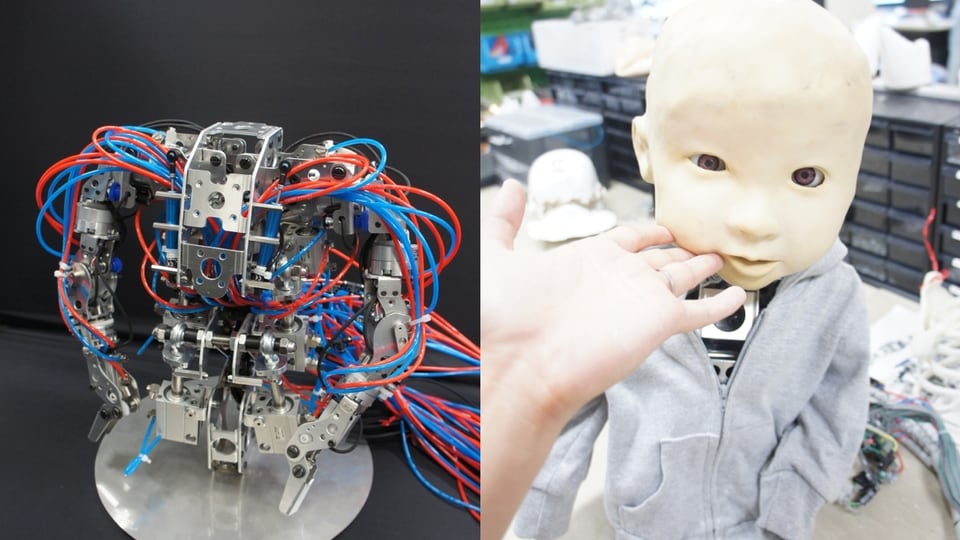 Innenleben eines Roboters. Das Drahtgebilde gehört zu Affetto, einem Roboter, der in Aussehen und Mimik einem Kleinkind ähnelt.