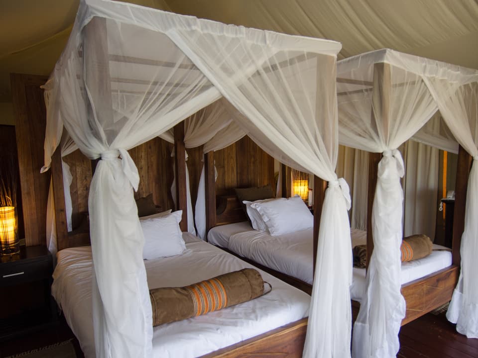 Zwei grosse Betten mit Moskitonetzen in einem geräumigen Zelt.