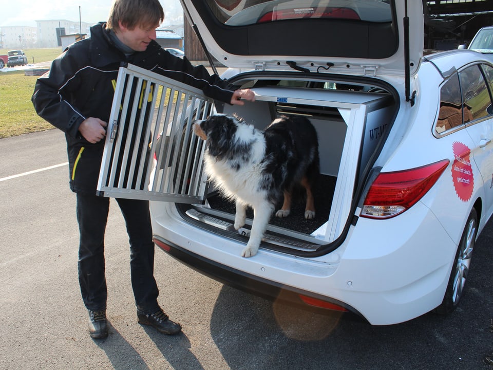 Umwelt und Verkehr - Auto-Hundeboxen im Crashtest - Kassensturz Espresso -  SRF