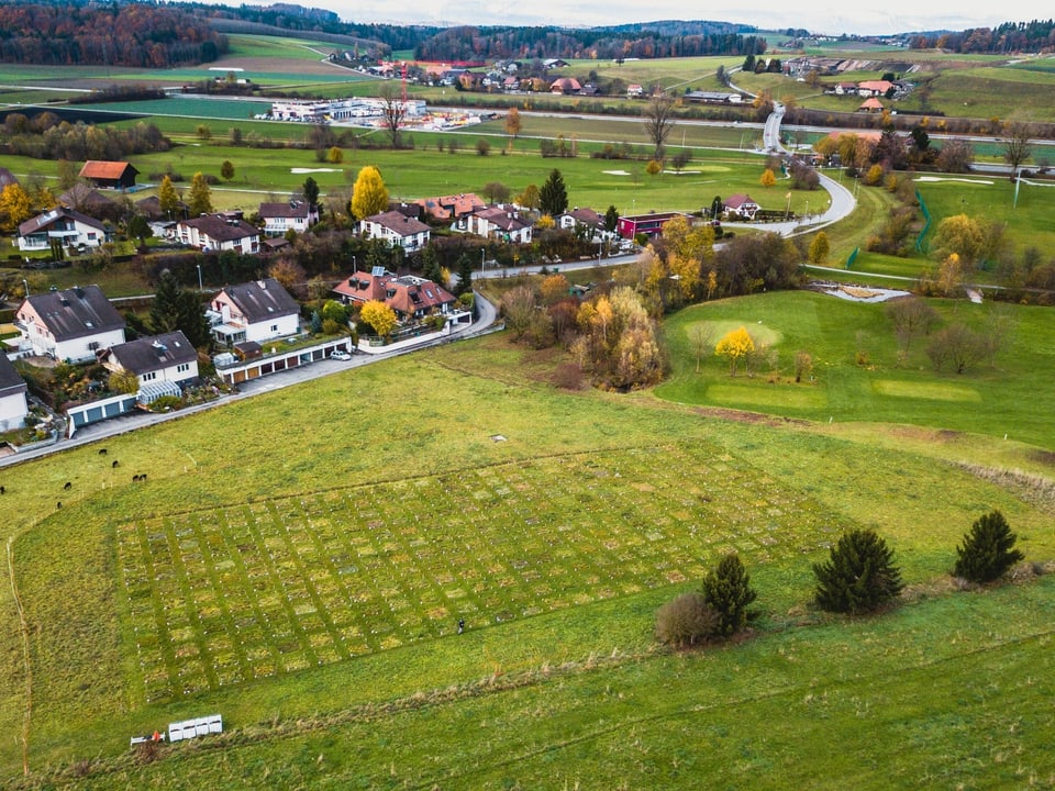 Vogelblick auf Wiese in der Nähe eines Wohnquartiers 