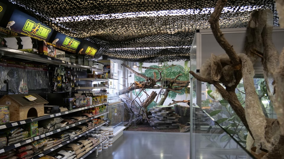 Zoohandlung mit grossen Terrarien.