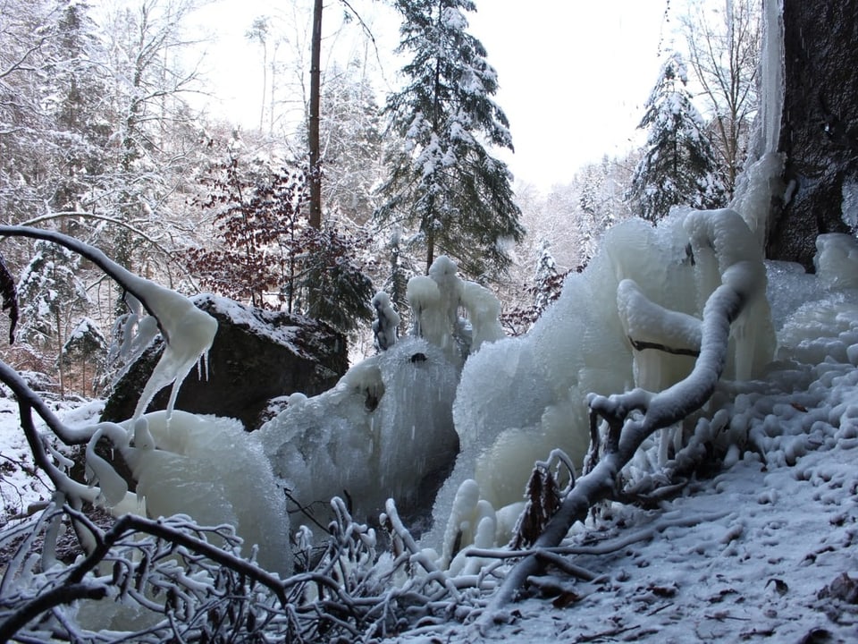 Eis im Wald.