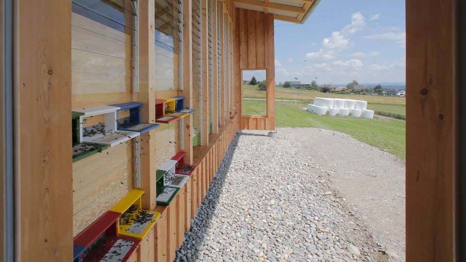 Ein Holzhaus mit Bienenkasten. Im Hintergrund sieht man ein Feld mit Heuballen.