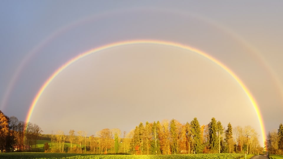 Ein perfekter Regenbogen.