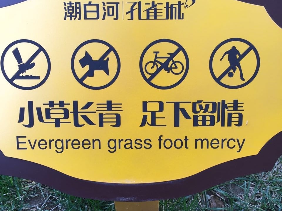 Ein Schild mit «Immer junges (grünes) Gras, Fuss habe Mitleid».