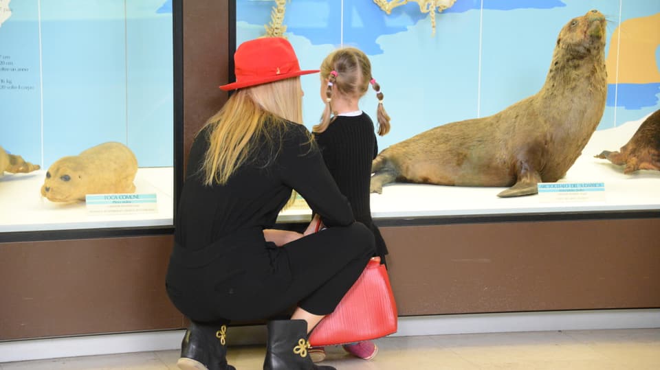 Michelle Hunziker und Tochter Sole betrachten ausgestopfte Seehunde und Robben. 