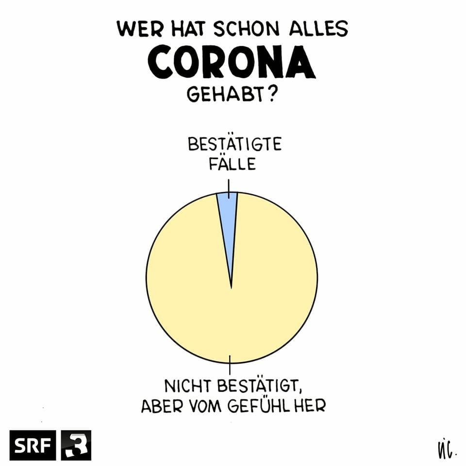 SRF 3-Cartoon