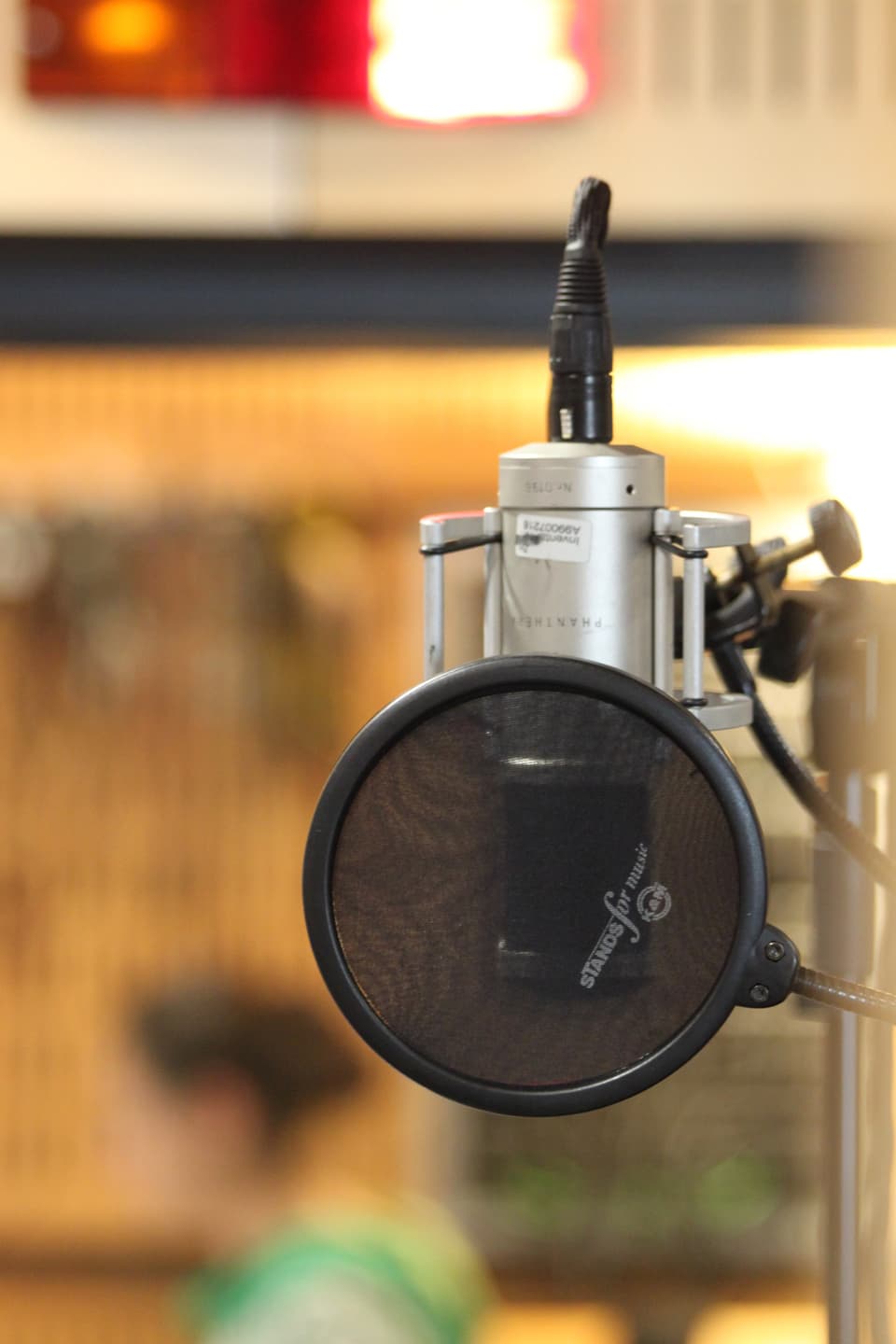 Mikrofon mit Popschutz im SRF-Hörspielstudio