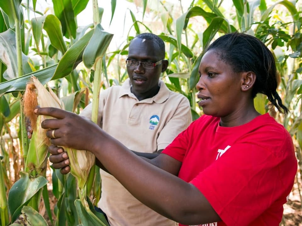 Im Bild: Die Bäuerin Anne Gitonga, aus Chuka/Kenya mit einem Mitarbeitenden des Syscom-Projekts.