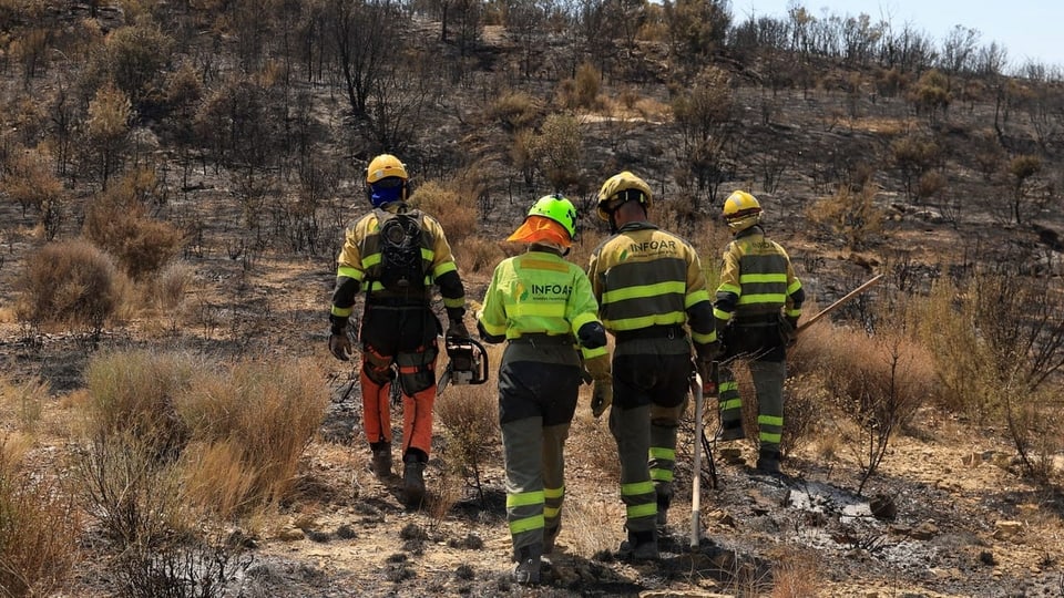 Frankreich und Spanien kämpfen gegen Waldbrände