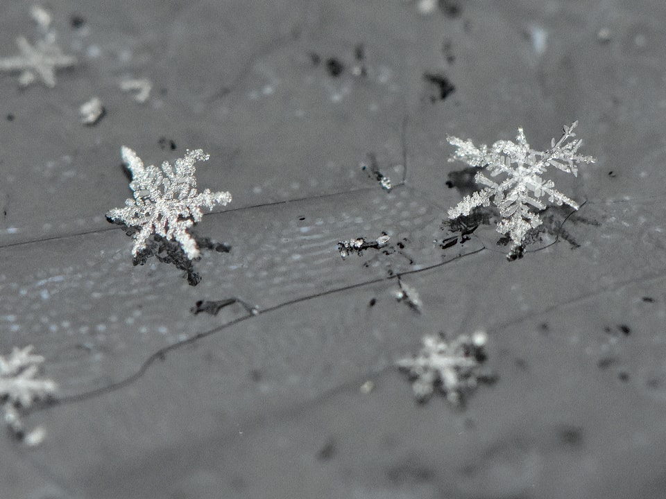 Schneekristalle in der Nahaufnahme.