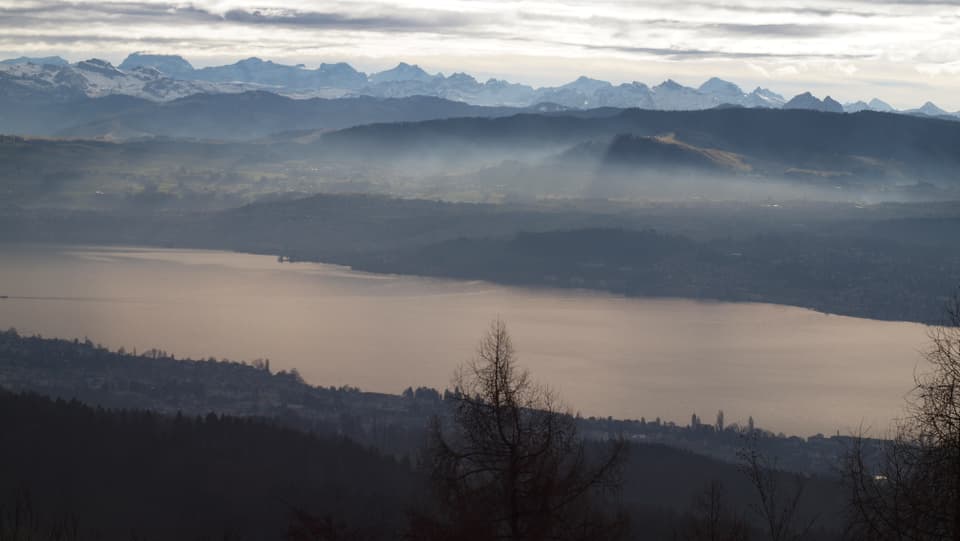 Blick vom Pfannenstiel auf den Zürichsee, dahinter die Alpen, mehr oder weniger aper.