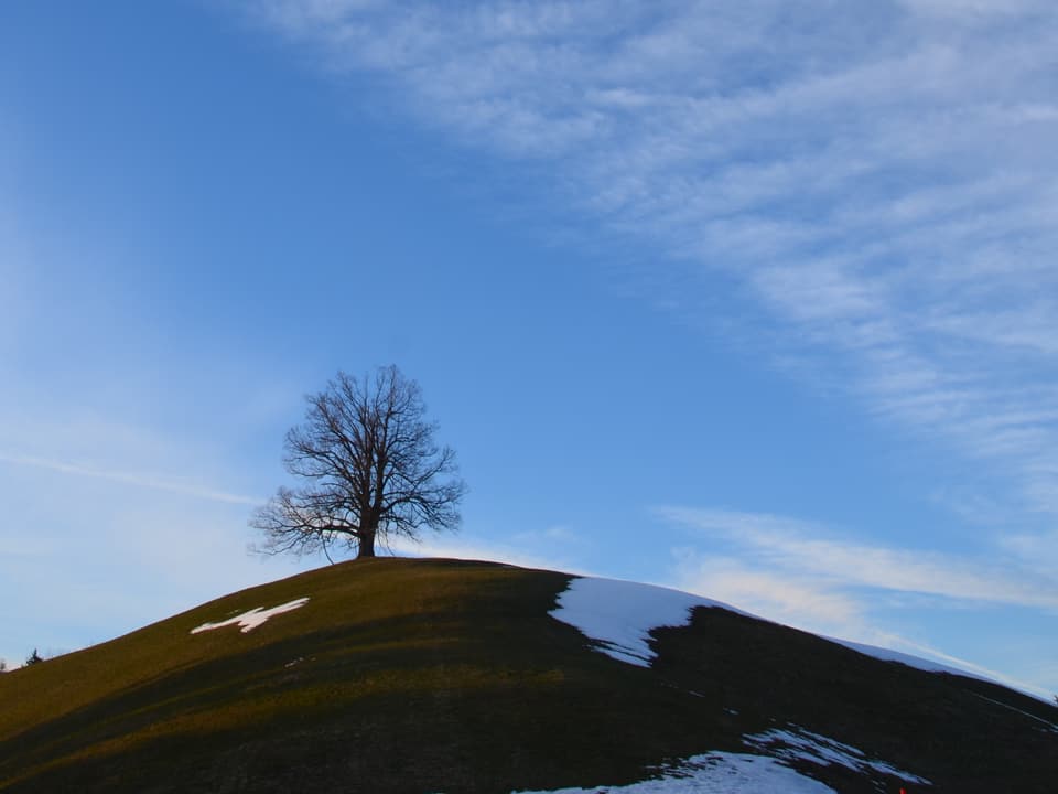 Auf einem Hügel steht ein Baum. Am Hang hat es noch einzelne Schneefelder. Am Himmel hat es Schleierwolken.