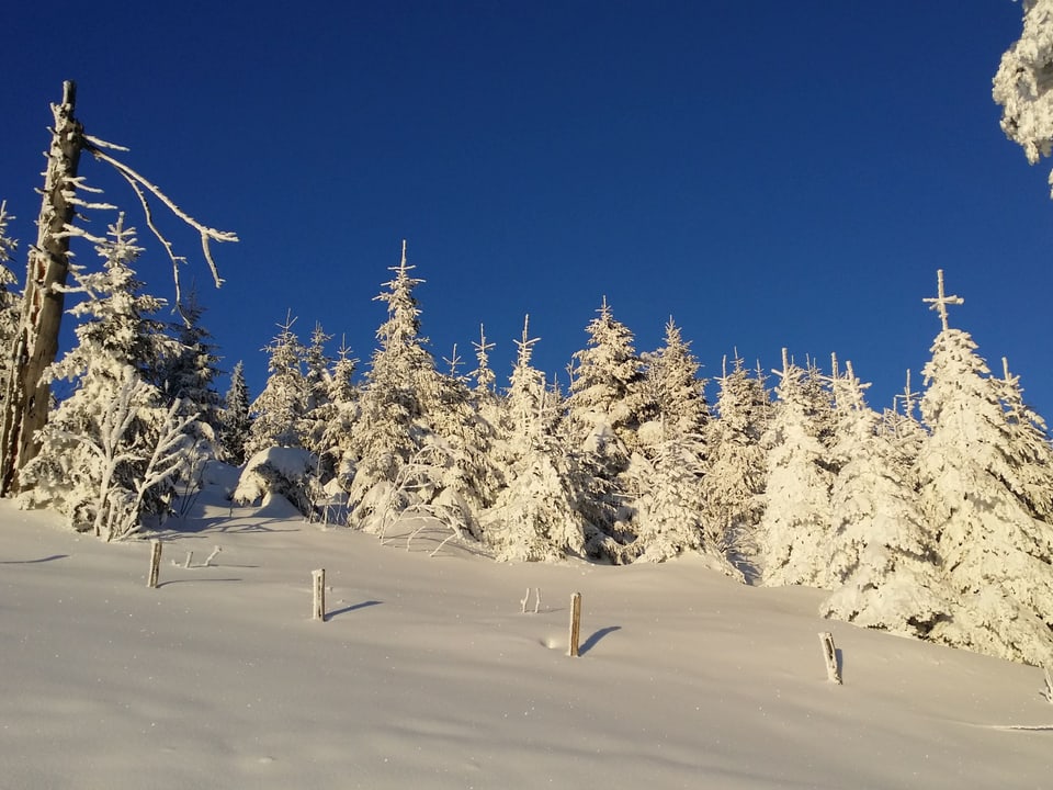 Tief verschneiter Tanzboden, zwischen dem Toggenburg und der Linthgebiet, im  letzten Winter.