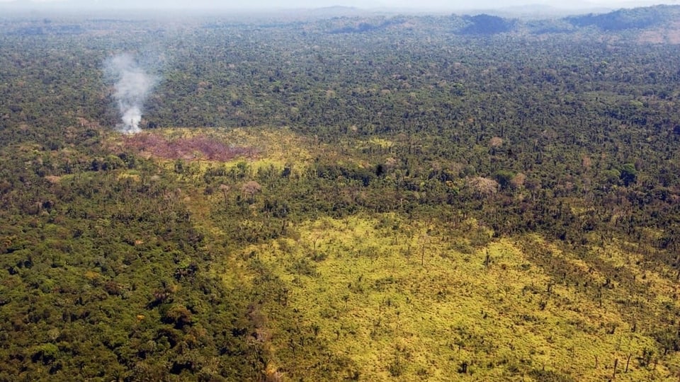 Folgen des Handelskonflikts - Für den Amazonas ist Chinas Hunger verheerend