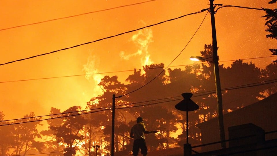 Grell oranger Himmel, ein paar Bäume, ein grosser Waldbrand