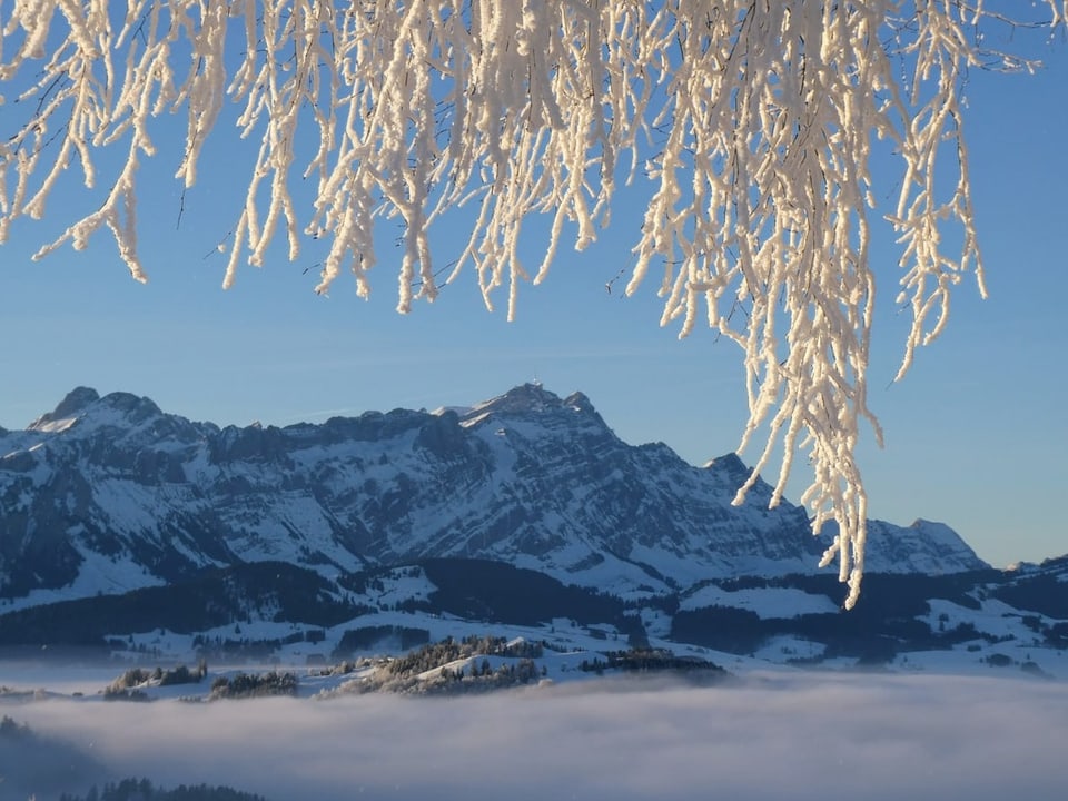 Ein herrlicher Morgen über dem Nebelmeer