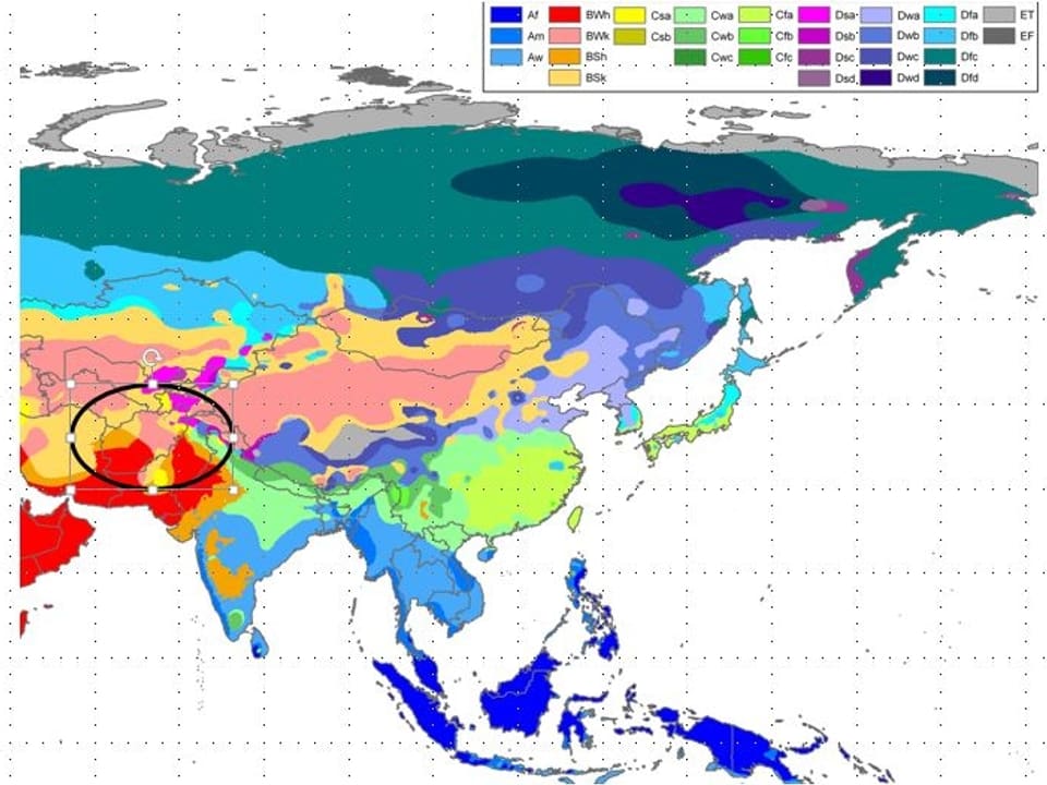 Karte mit Ausschnitt Asien. Die verschiedenen Klimazonen sind farbig dargestellt. 