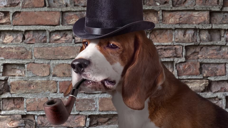 Hörspiel - Inspector Crazy: Der schärfste Hund von Scotland Yard