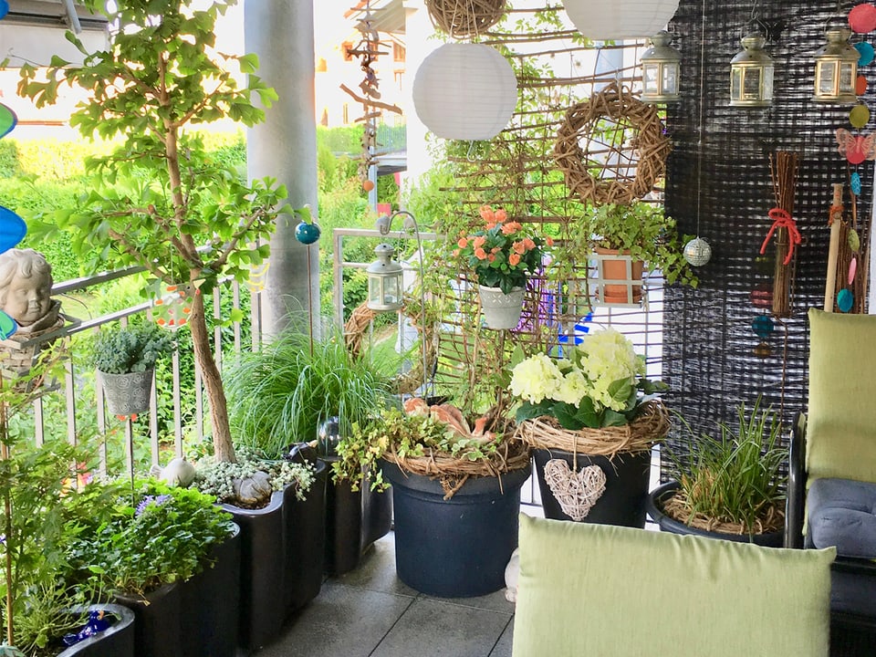 Balkon mit vielen Pflanzen.