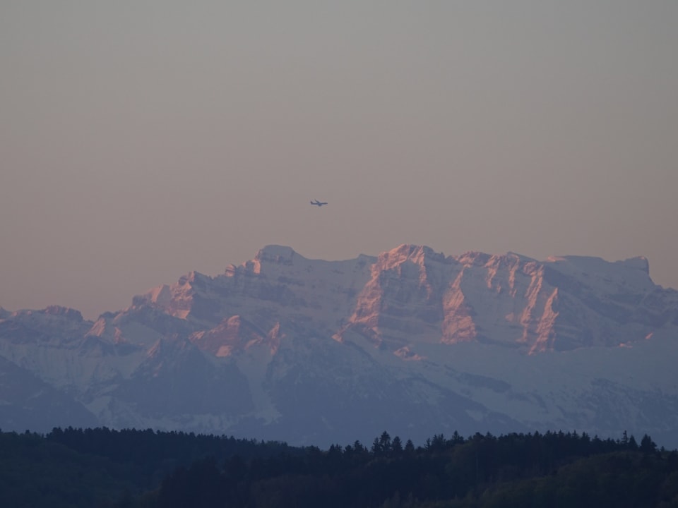 Blick am frühen Morgen von Neftenbach Richtung Glarner Alpen.