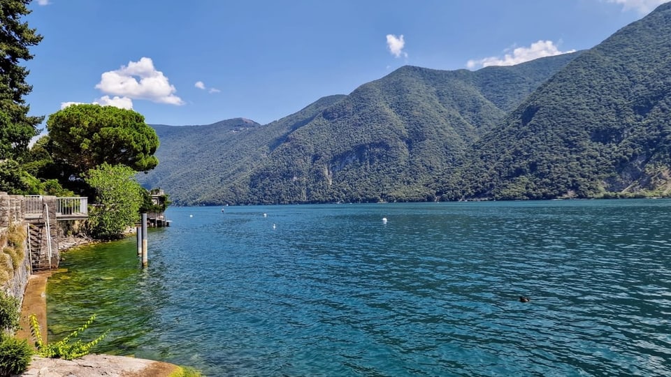 Blick auf den See bei Sonnenschein und wenigen kleinen Quellwolken.