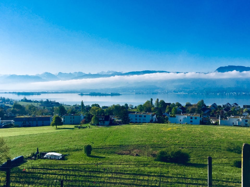Zürichsee im Frühlingskleid mit wenigen Wolken am Himmel.