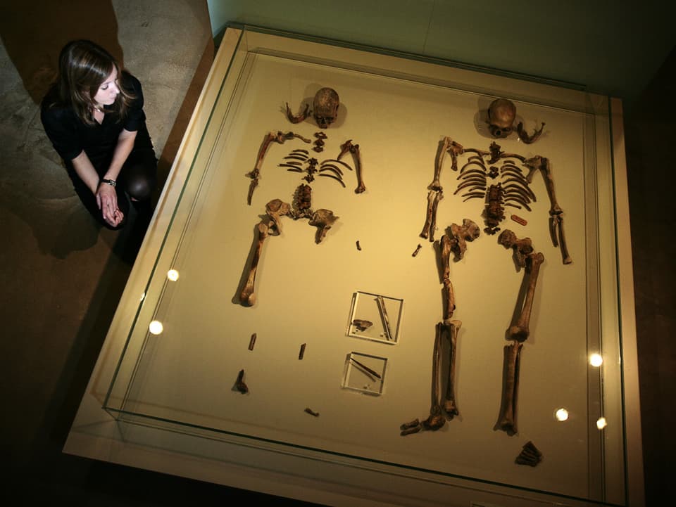 Blick auf einen Schaukasten aus Glas, in dem zwei menschliche Skelette liegen.