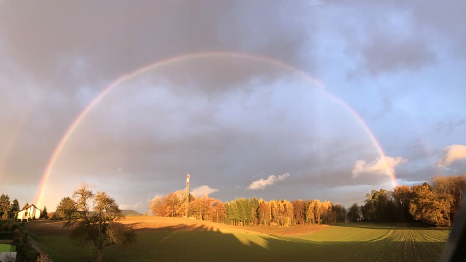 Vollständiger Regenbogen über dem Wald.