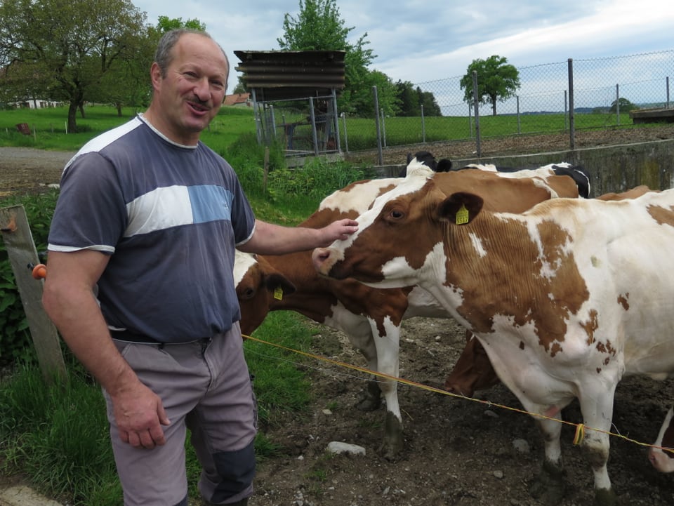 Ein muskulöser Mann mit Schnauz und Halbglatze streichelt eine Kuh.