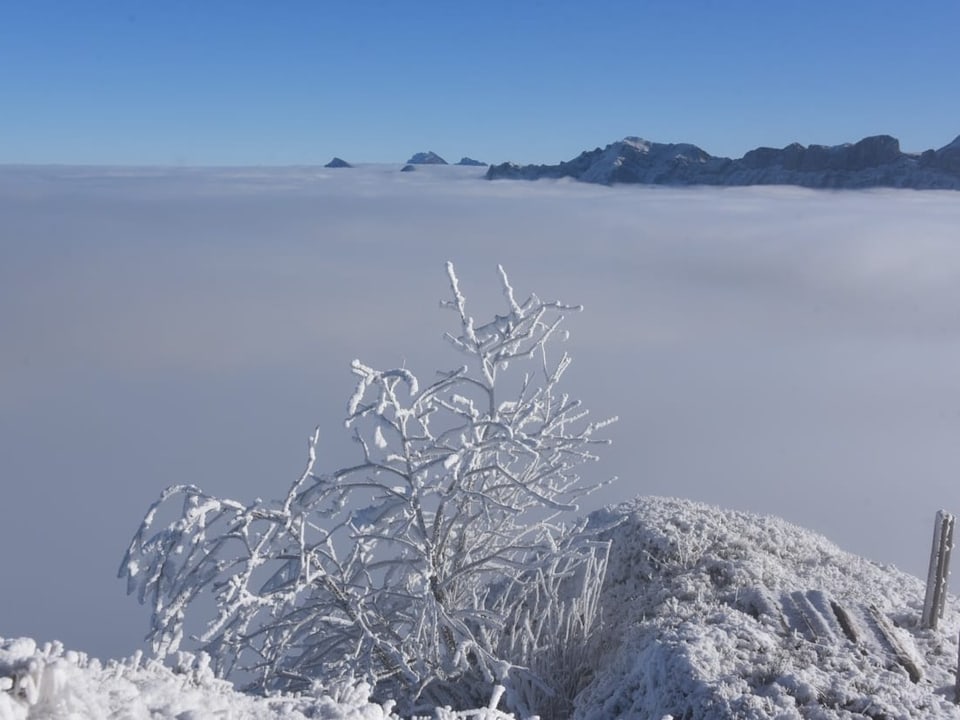 Beichle / LU Beichle / LU