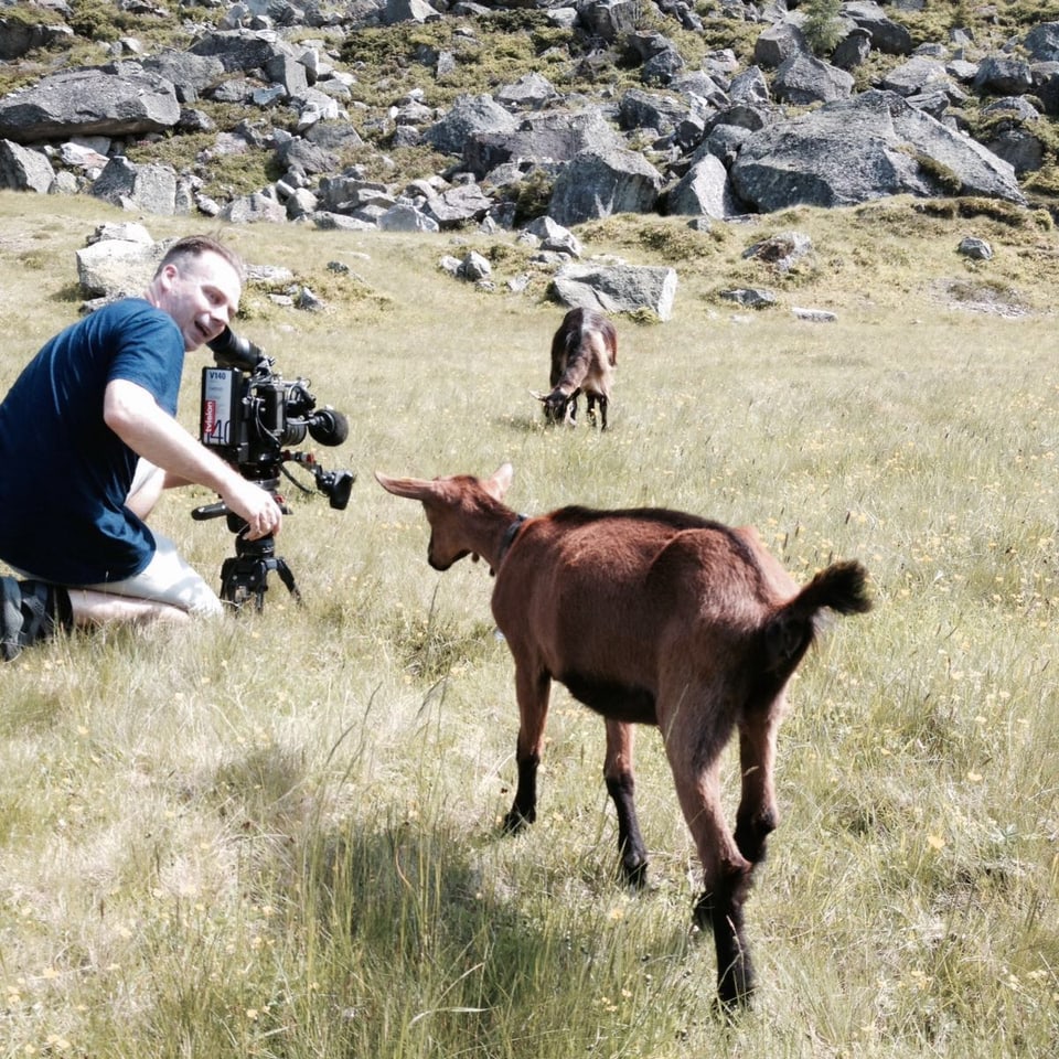 Eine Ziege nähert sich einem Kameramann, der im Gras kauert.