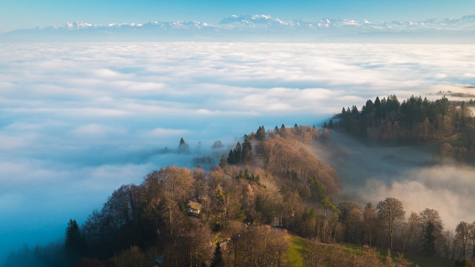 Glarner Alpen und viel Nebel vom Üetliberg aus gesehen.