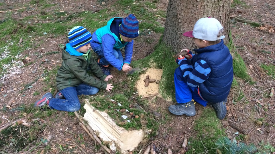 Kinder bastelen Schwingarena im Wald