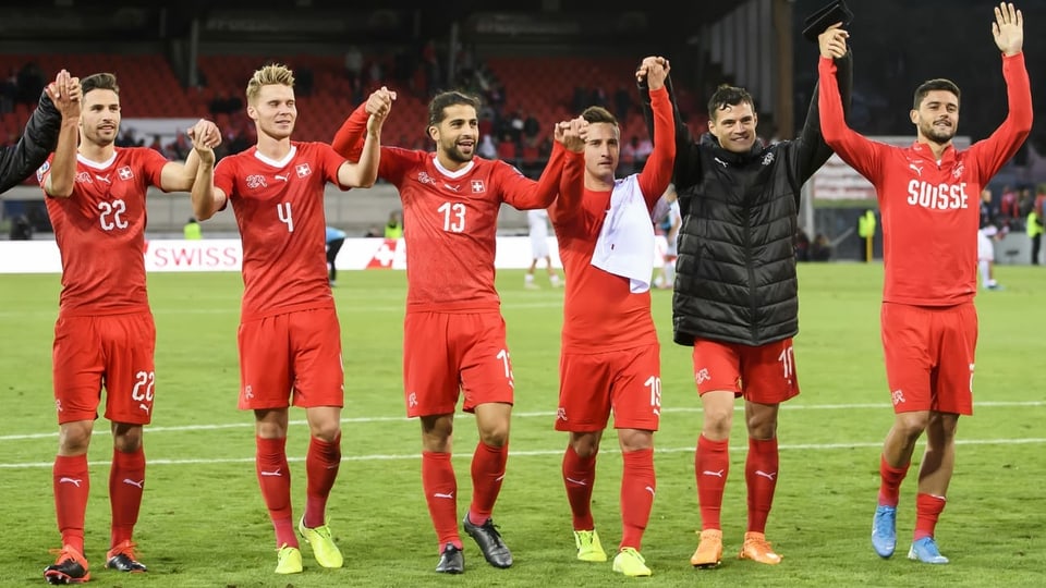 Einige Spieler der Schweizer Nati am EM-Qualifikationsspiel gegen Irland