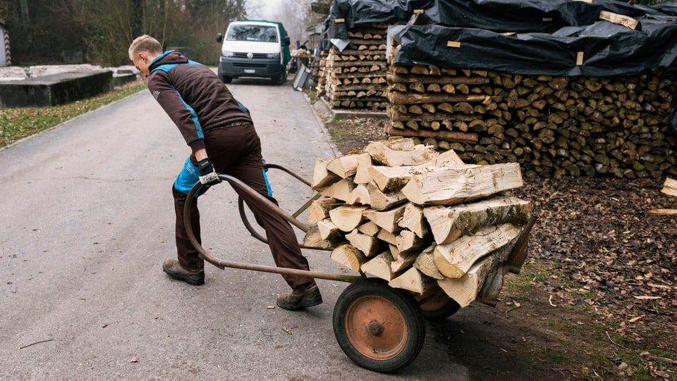 Junger Mann zieht einen Karren mit Holzscheiten im Wald.