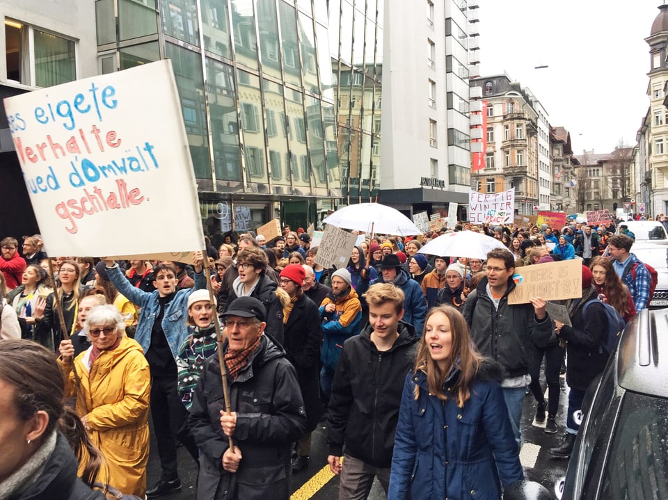 Am Klimastreik in Luzern: Die Menge zieht durch die Luzerner Neustadt.