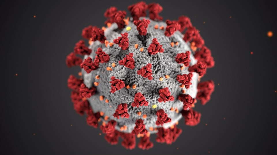 Bild von Coronavirus