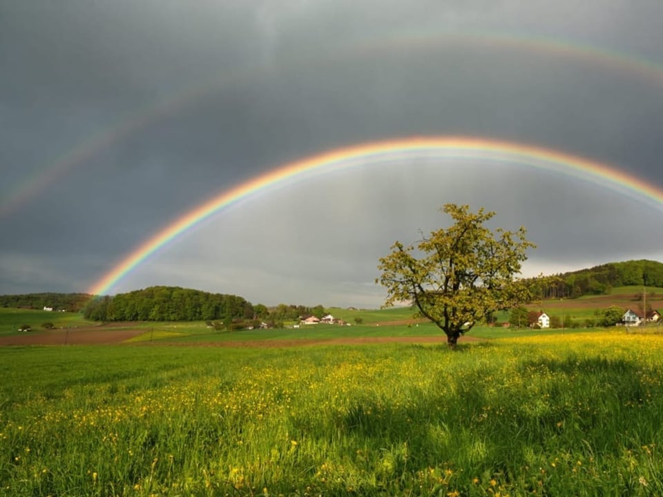 Regenbogen in Buch am Irchel 