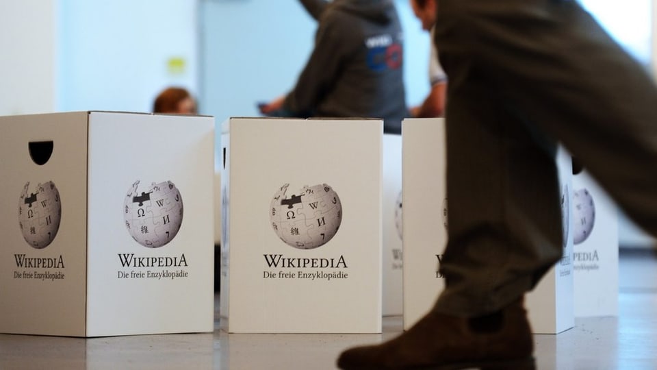 Probleme und Herausforderungen bei Wikipedia.