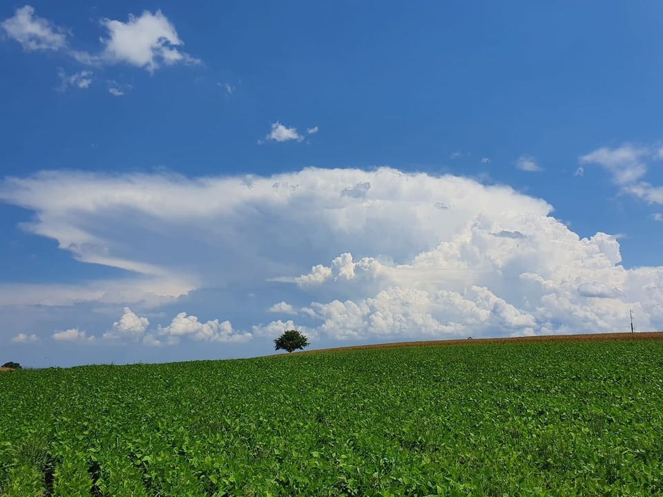 Cumulunimbus über Mittelland 