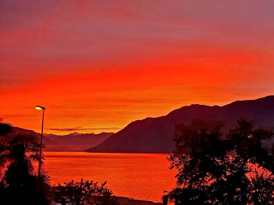 Brissago/TI Morgenrot