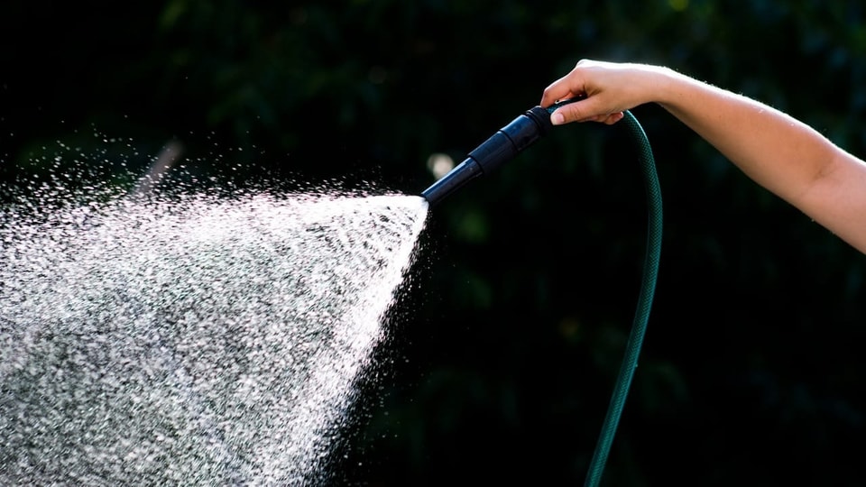 Trockenheit und Garten: Das können Sie bei Wasserknappheit tun