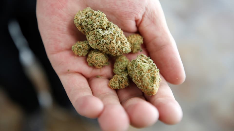 Cannabis-Urteil wird vor Bundesgericht weitergezogen