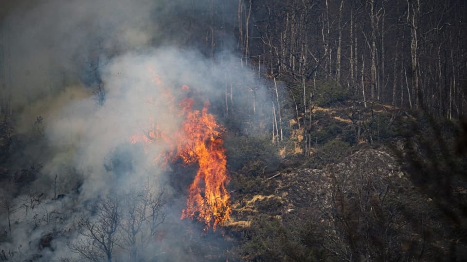 Waldbrand in oberhalb von Verdasio im Centovalli Tal