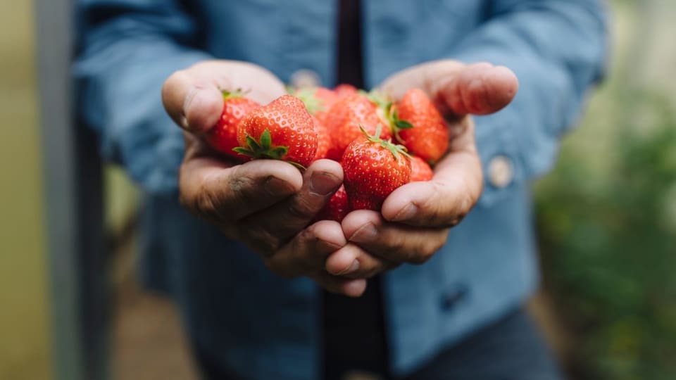 Hände mit Erdbeeren