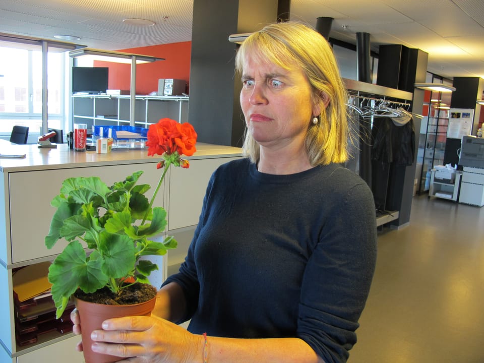 Produzentin Christine Hubacher hält ein Geranium in der Hand.